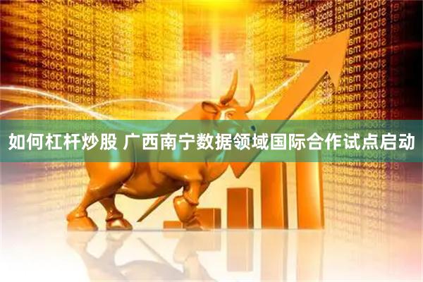 如何杠杆炒股 广西南宁数据领域国际合作试点启动